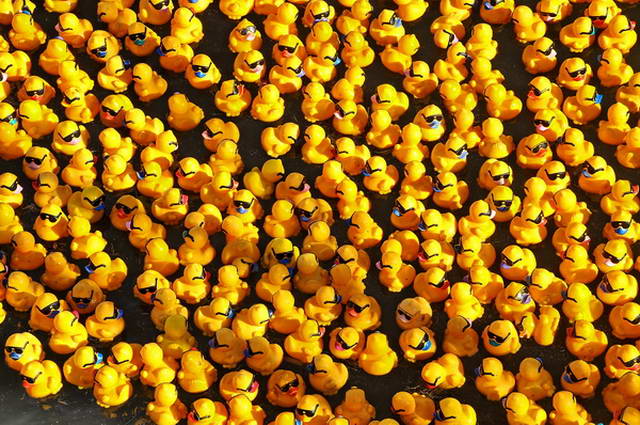 Maschseefest   528.jpg